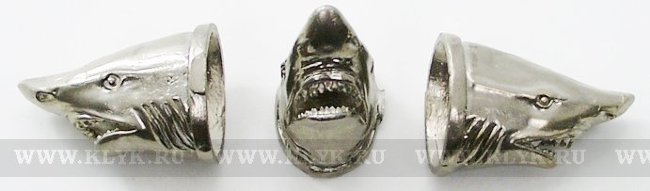 golova-shark-m.JPG