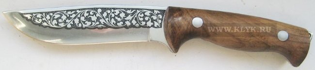 kiz-sazan-65x13-io-sm.jpg