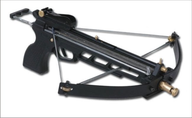 tdr-2005a-sm.jpg
